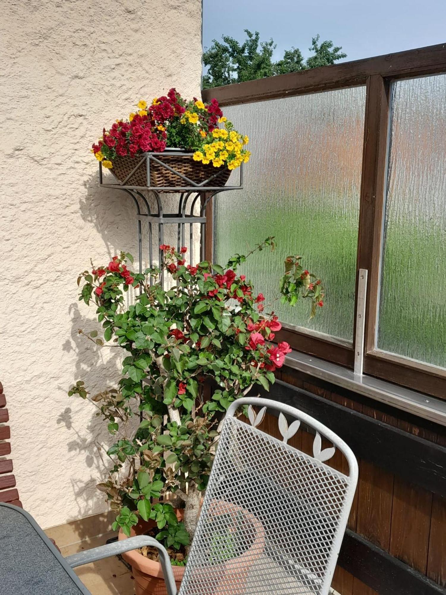 Ferienhaus Resch Laufen Extérieur photo